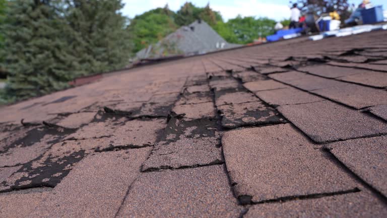 Best Metal Roofing Installation  in Jacksonville, FL